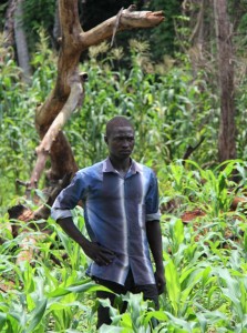 Farel - Kemo - RCA - prog FS distrib semences - sept 2013 - LGR (16) (Large)