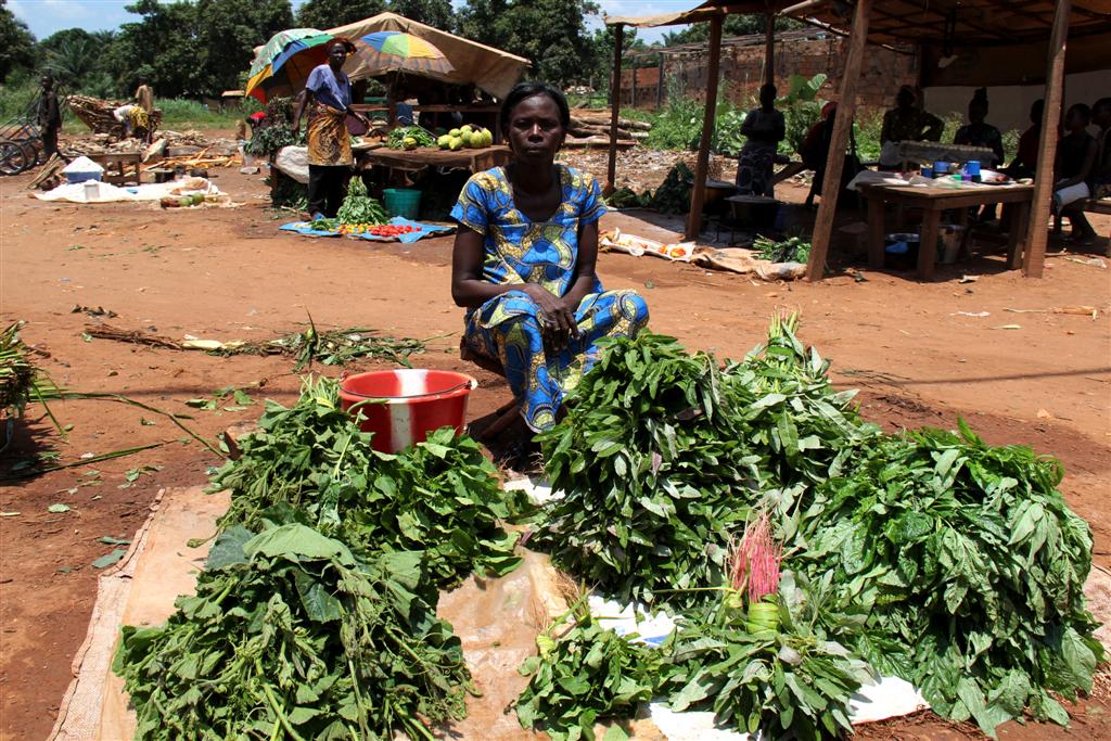 marché - Bangui - RCA - Sept 2013 - LGR (12) (Large)