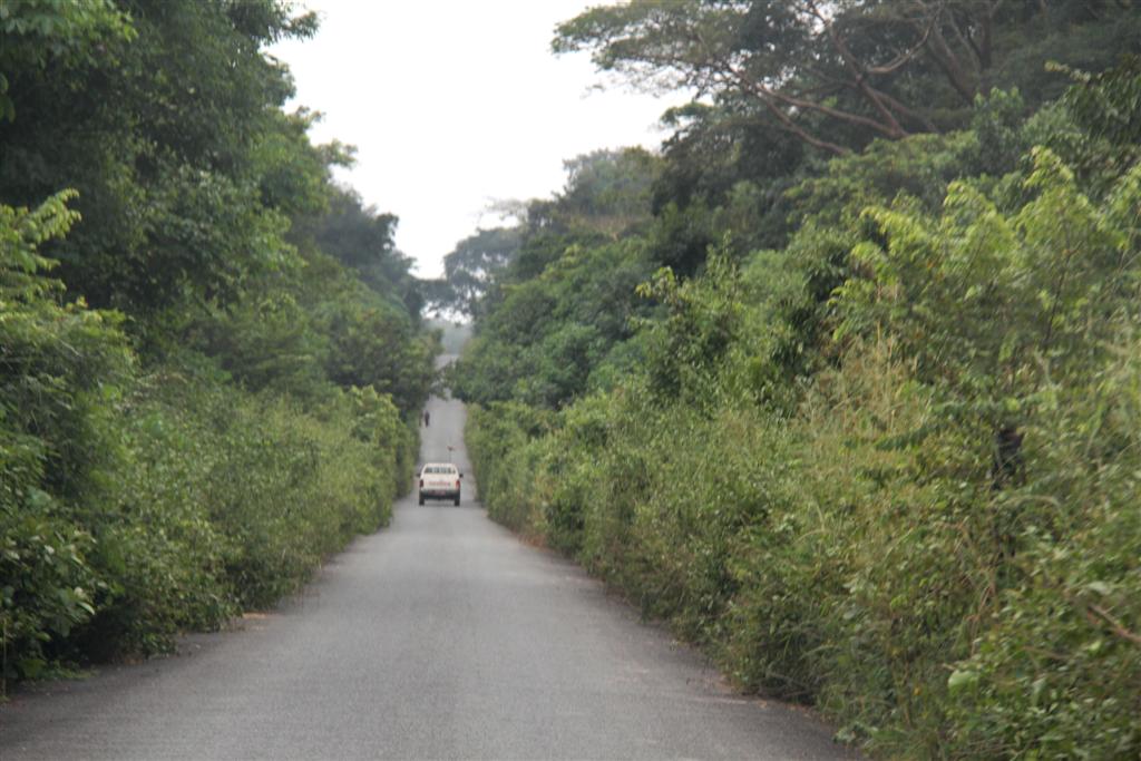 route Kemo - RCA - septembre 2013 - LGR (1) (Large)