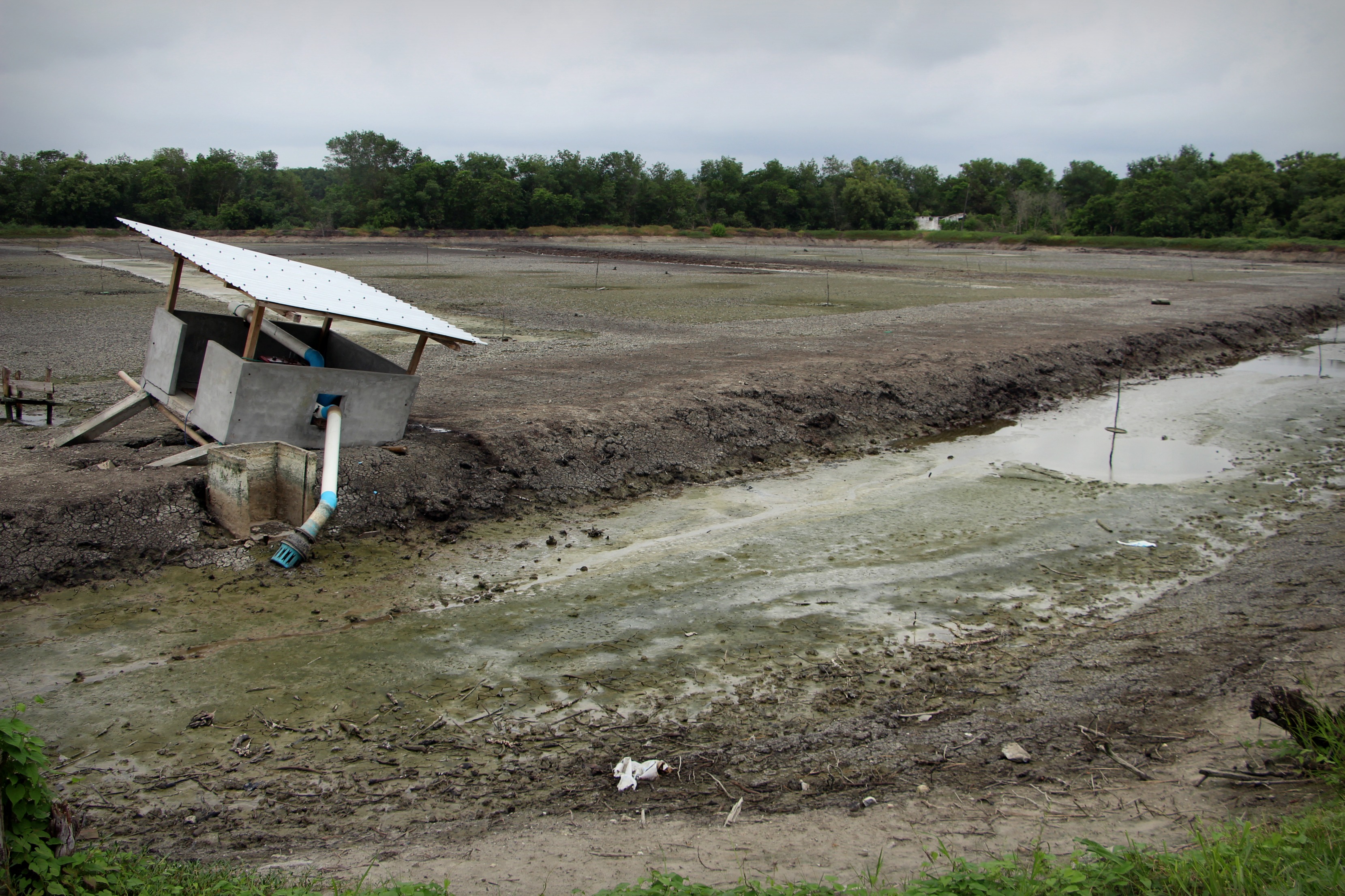 equateur-seisme-tremblement-terre-catastrophe-naturelle-destruction-replique-secousse