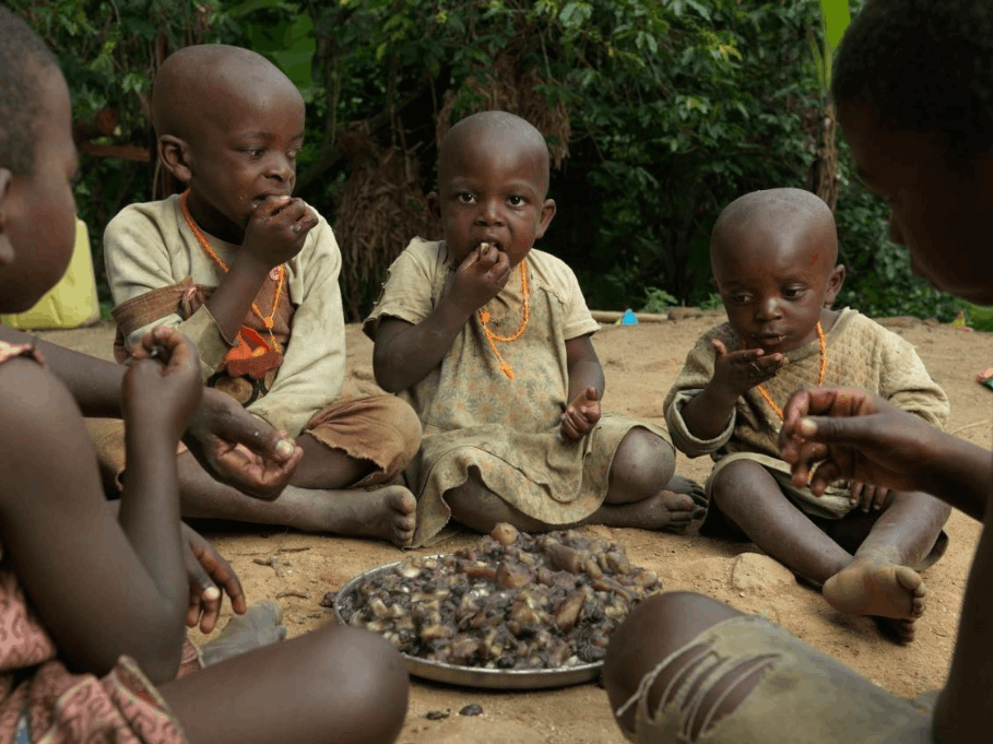 Des enfants ougandais dégustent un repas composé de manioc, de haricots et de légumes-feuilles. 
