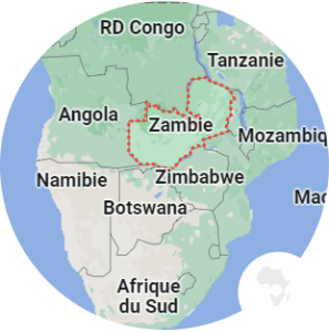carte ronde zambie
